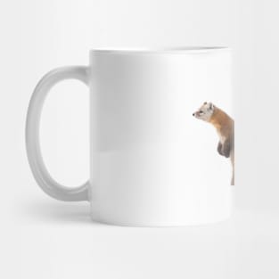 Pine Marten - Algonquin Park Mug